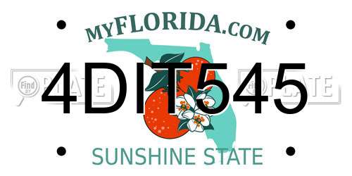 4DIT545 Florida License Plate