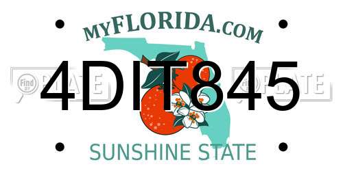 4DIT845 Florida License Plate