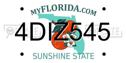4DIZ545 Florida License Plate