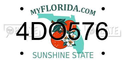 4DO576 Florida License Plate