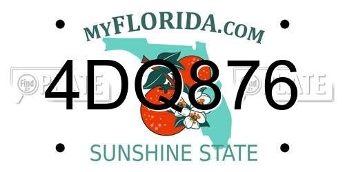 4DQ876 Florida License Plate