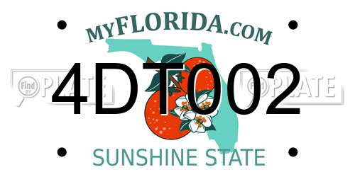 4DT002 Florida License Plate