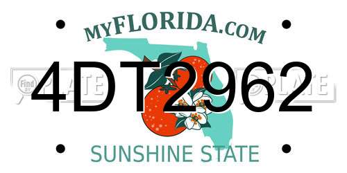 4DT2962 Florida License Plate