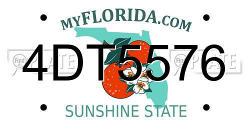 4DT5576 Florida License Plate