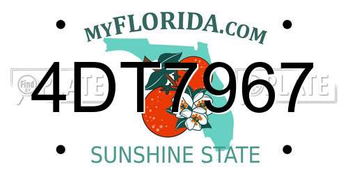 4DT7967 Florida License Plate
