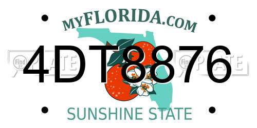 4DT8876 Florida License Plate