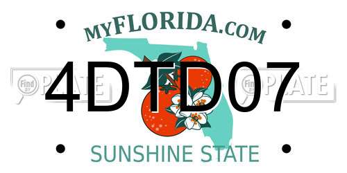 4DTD07 Florida License Plate