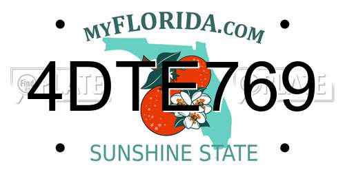 4DTE769 Florida License Plate