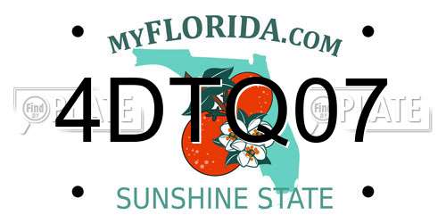 4DTQ07 Florida License Plate