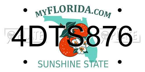 4DTS876 Florida License Plate
