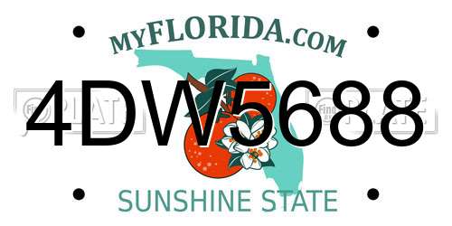 4DW5688 Florida License Plate