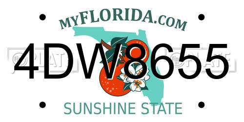 4DW8655 Florida License Plate