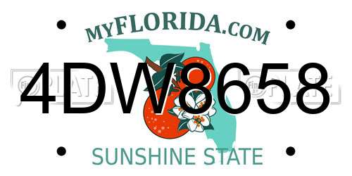 4DW8658 Florida License Plate