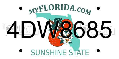 4DW8685 Florida License Plate