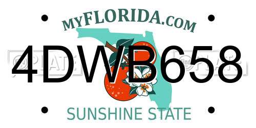 4DWB658 Florida License Plate