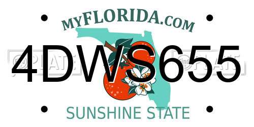 4DWS655 Florida License Plate