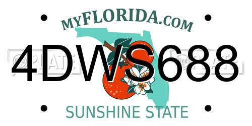 4DWS688 Florida License Plate