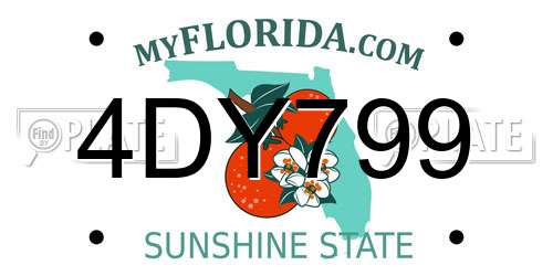 4DY799 Florida License Plate