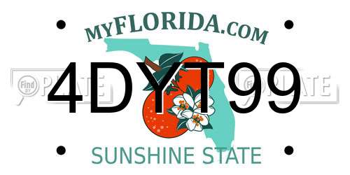 4DYT99 Florida License Plate