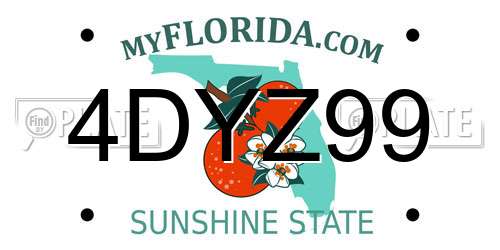 4DYZ99 Florida License Plate