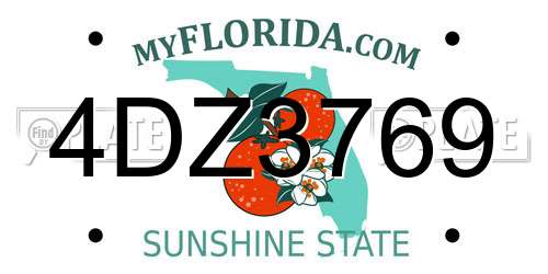 4DZ3769 Florida License Plate
