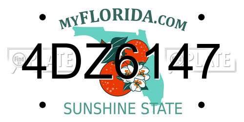 4DZ6147 Florida License Plate