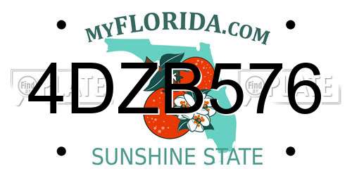4DZB576 Florida License Plate