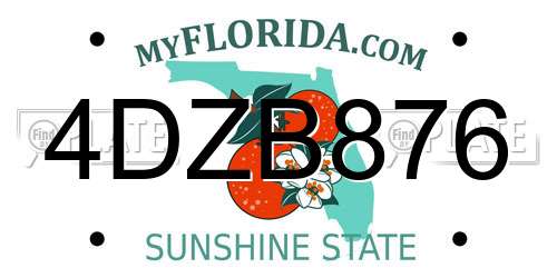 4DZB876 Florida License Plate