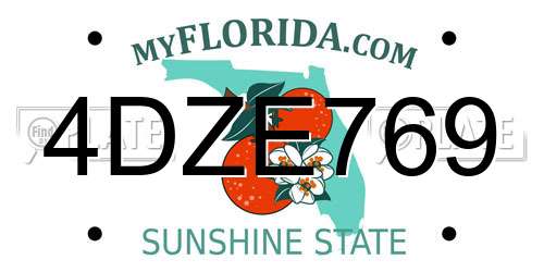 4DZE769 Florida License Plate