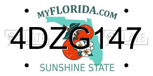 4DZG147 Florida License Plate