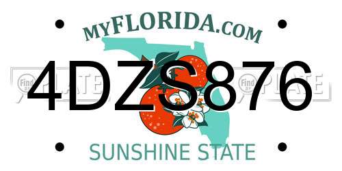 4DZS876 Florida License Plate