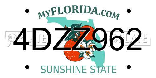 4DZZ962 Florida License Plate