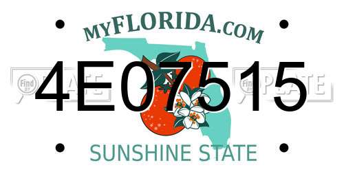 4E07515 Florida License Plate