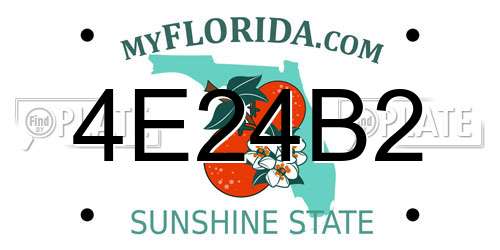 4E24B2 Florida License Plate