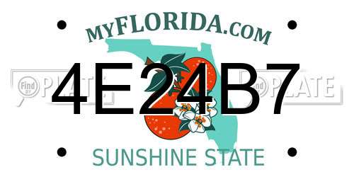 4E24B7 Florida License Plate