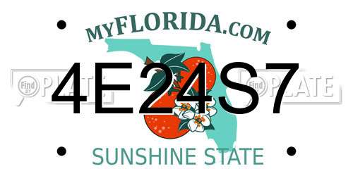 4E24S7 Florida License Plate