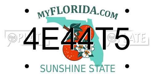 4E44T5 Florida License Plate