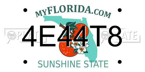 4E44T8 Florida License Plate