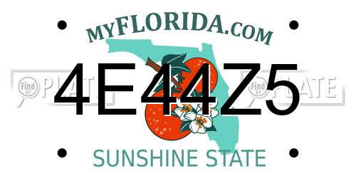4E44Z5 Florida License Plate