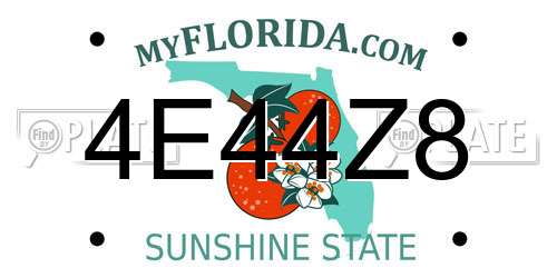 4E44Z8 Florida License Plate