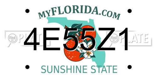 4E55Z1 Florida License Plate