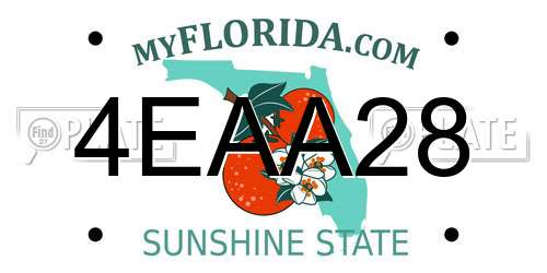 4EAA28 Florida License Plate