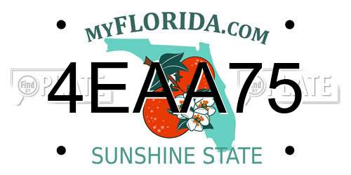 4EAA75 Florida License Plate