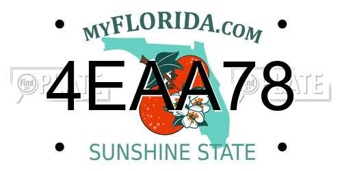 4EAA78 Florida License Plate