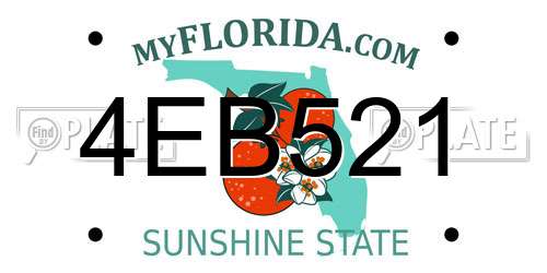 4EB521 Florida License Plate