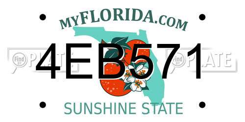 4EB571 Florida License Plate