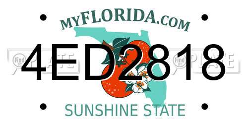 4ED2818 Florida License Plate