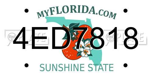 4ED7818 Florida License Plate