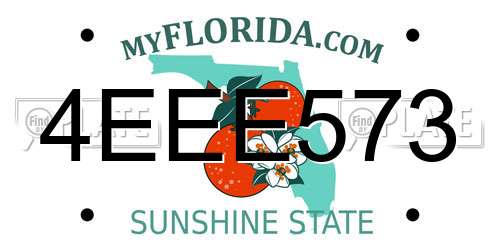 4EEE573 Florida License Plate