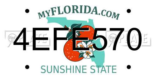 4EFE570 Florida License Plate